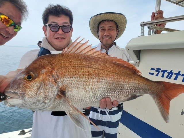 マダイ