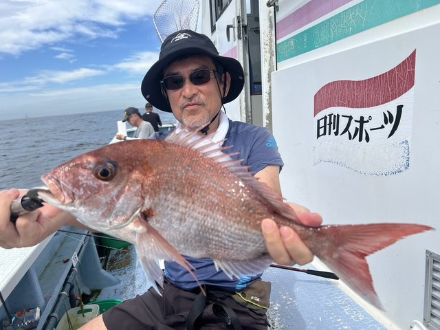 マダイ