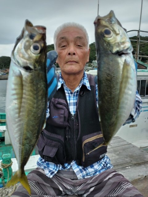 アジ(マアジ)