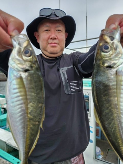 アジ(マアジ)