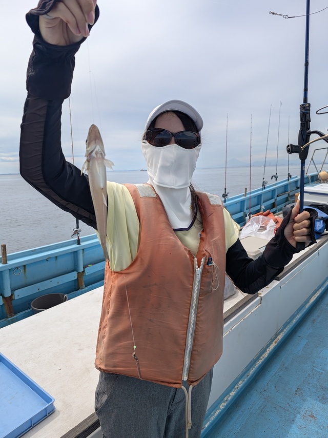 シロギス