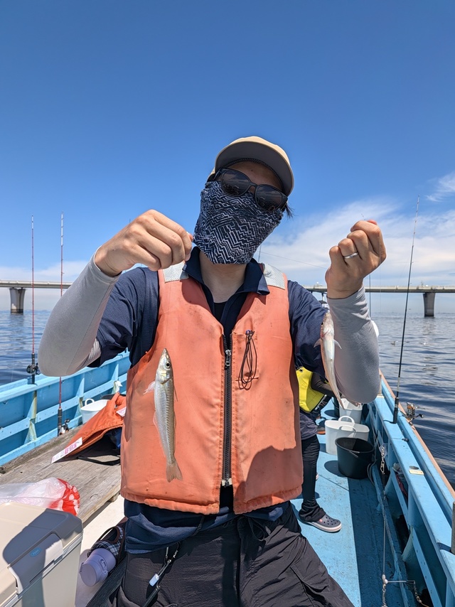 シロギス