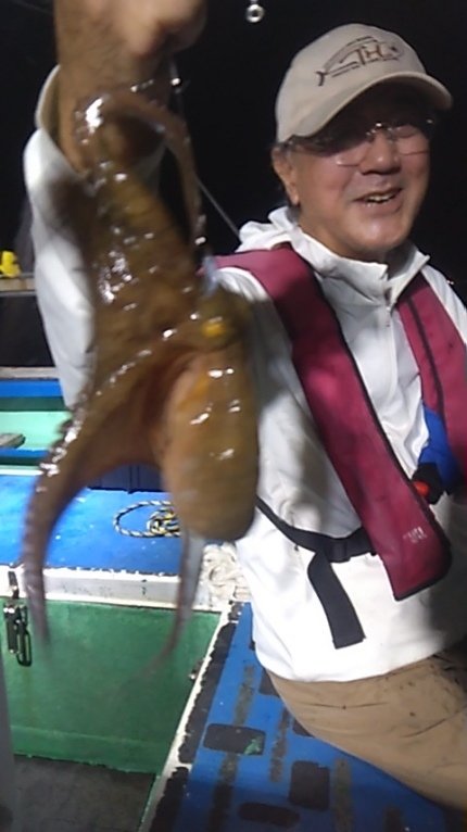 マダコ