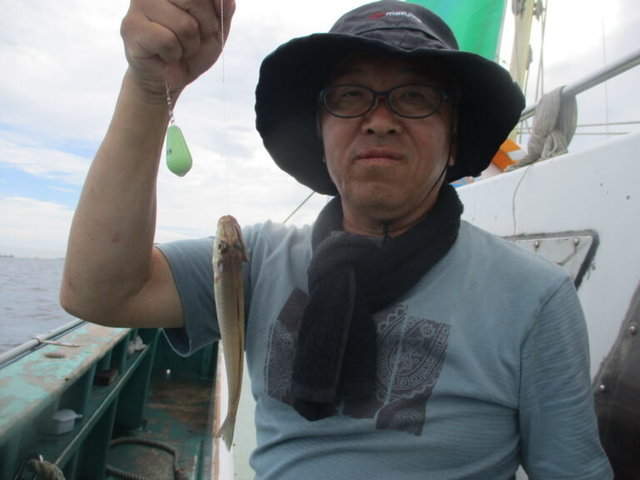 シロギス