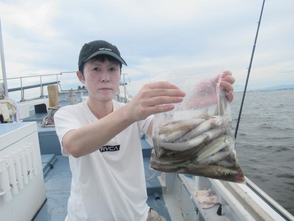 シロギス