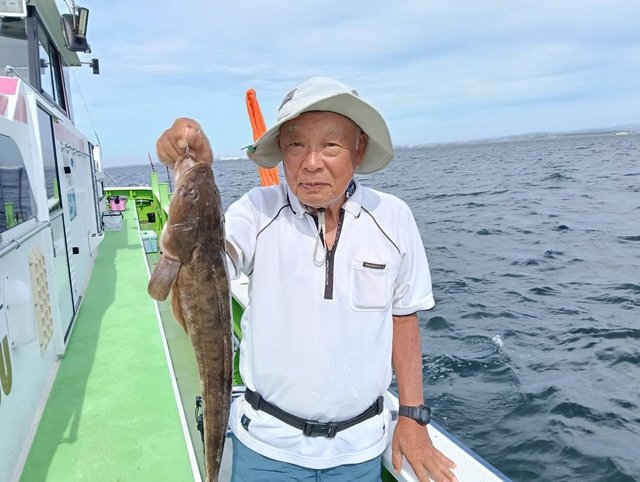 マゴチ