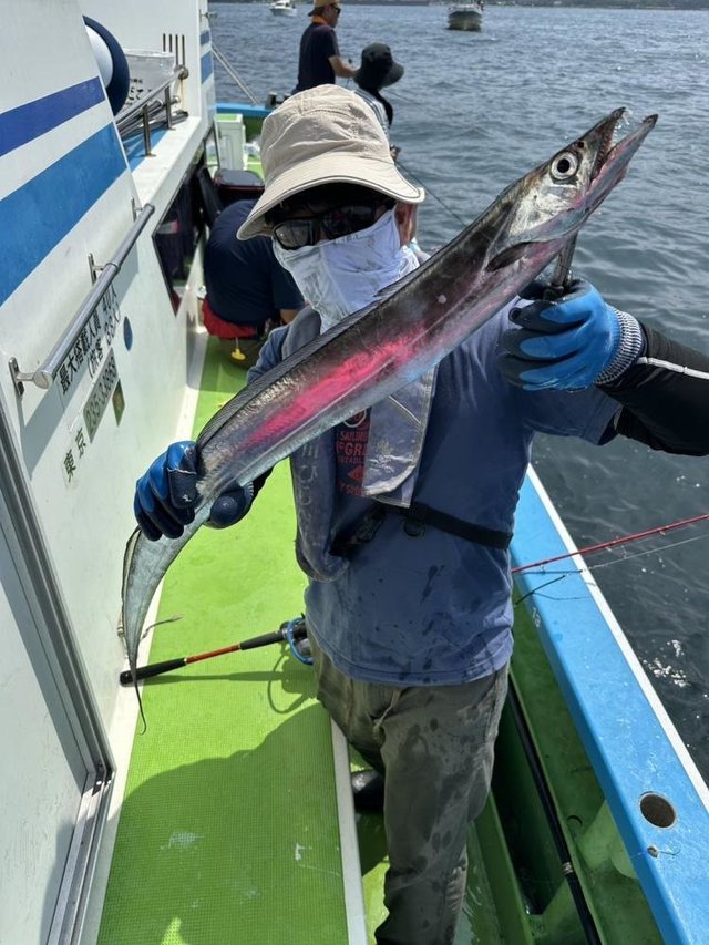 タチウオ