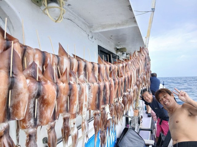 スルメイカ