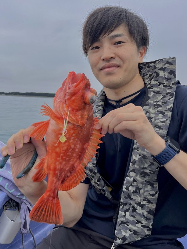 ウッカリカサゴ