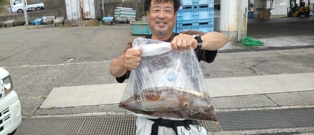 スルメイカ