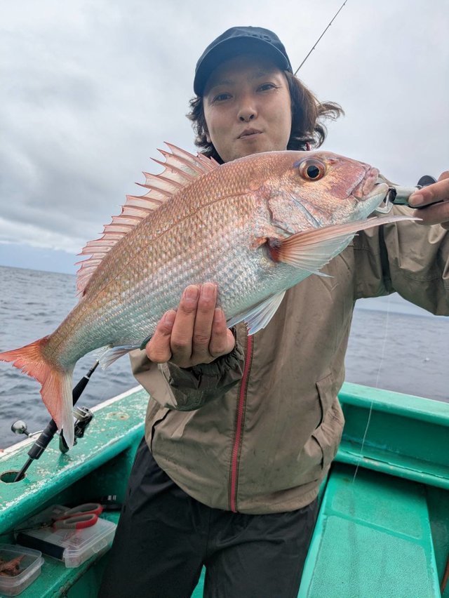 マダイ