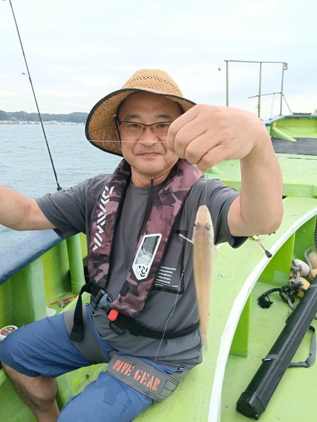 シロギス
