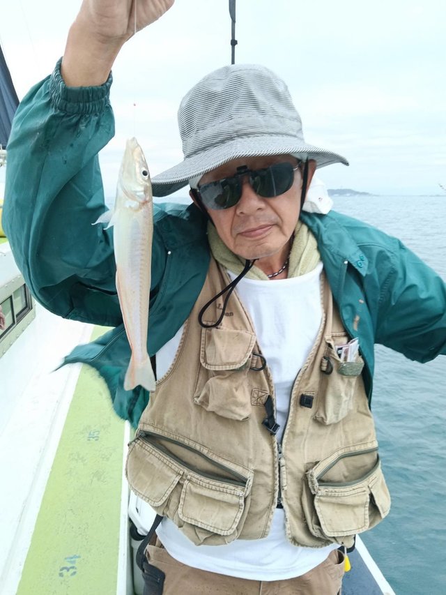 シロギス