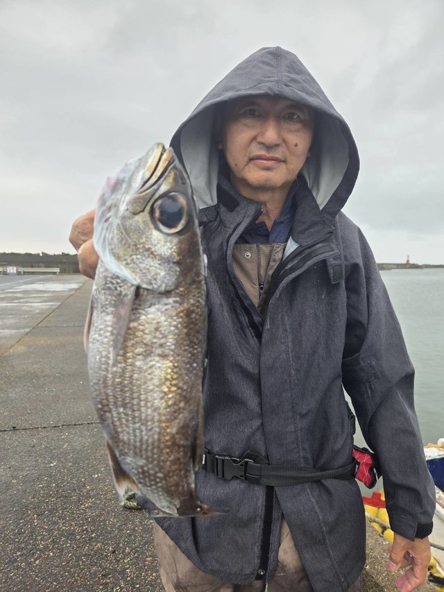 クロムツ