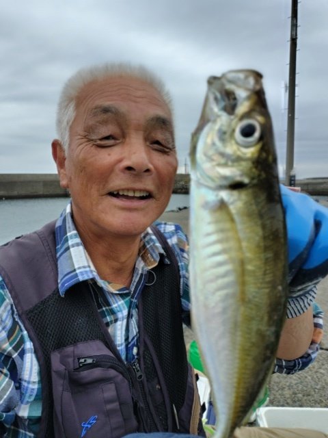 アジ(マアジ)