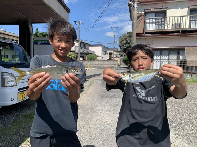 アジ(マアジ)