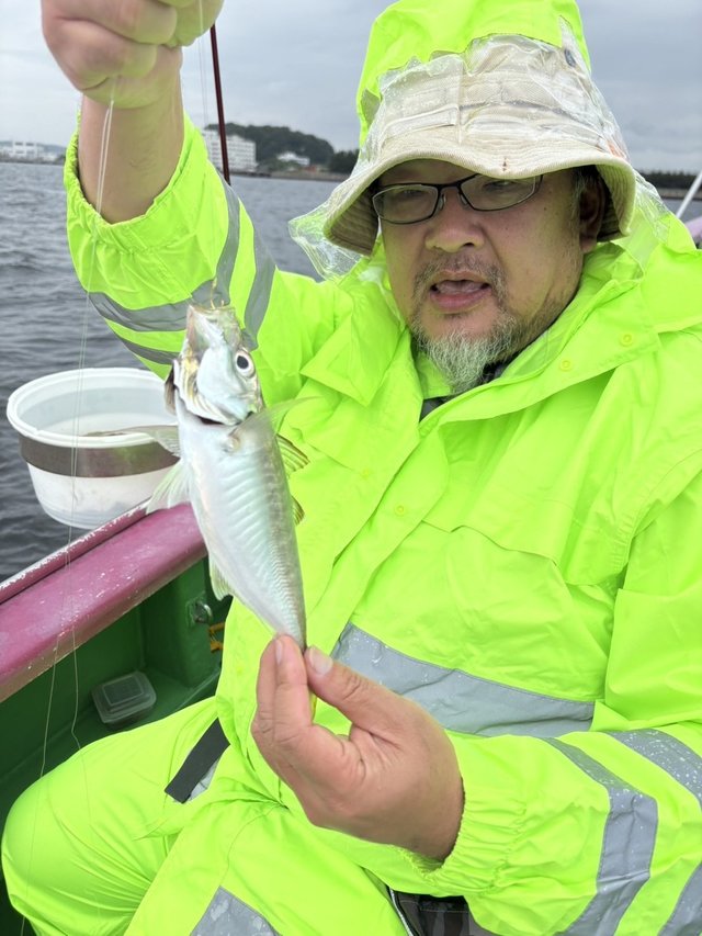 アジ(マアジ)