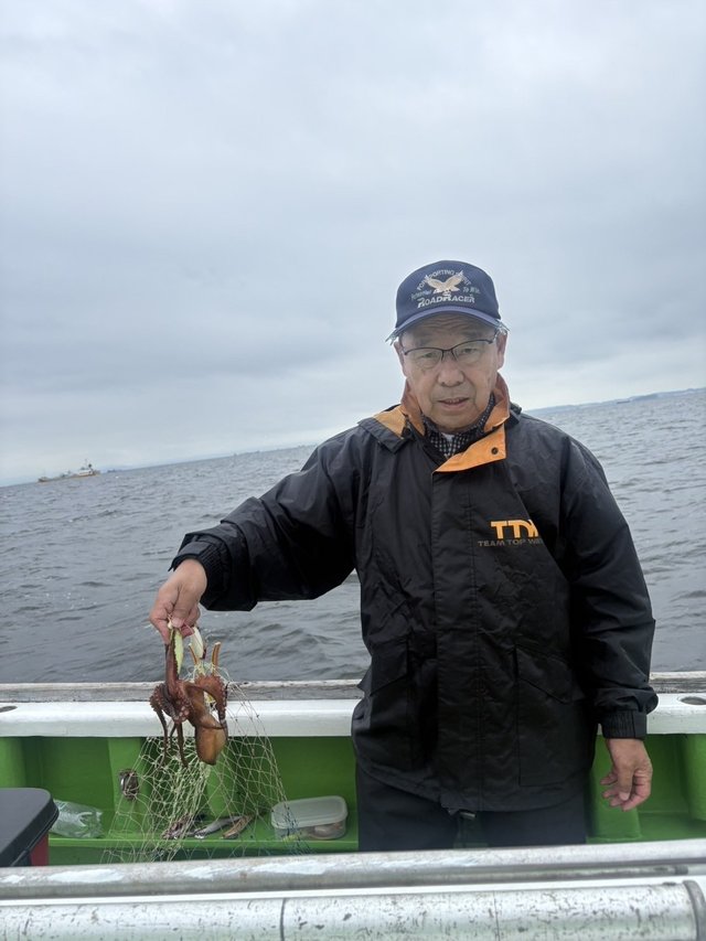 マダコ