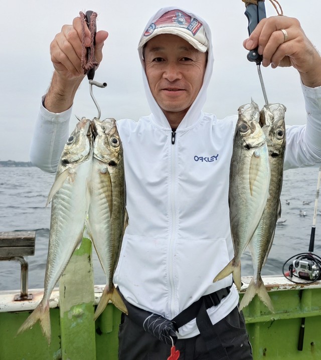 アジ(マアジ)
