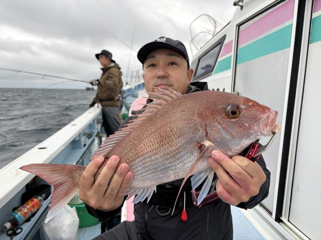 マダイ