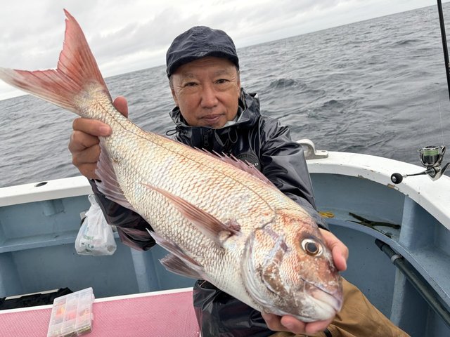 マダイ