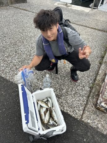 アジ(マアジ)