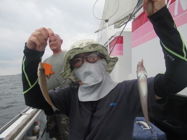 シロギス