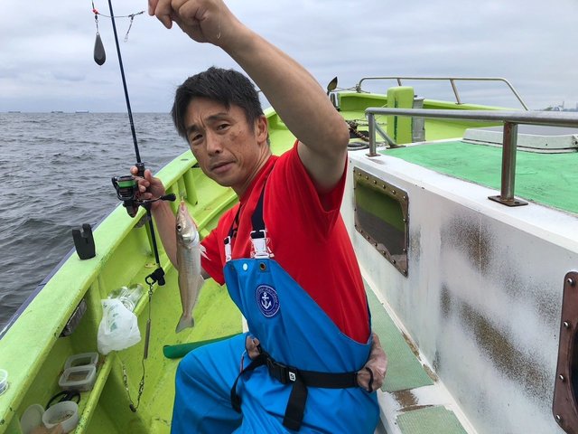 シロギス