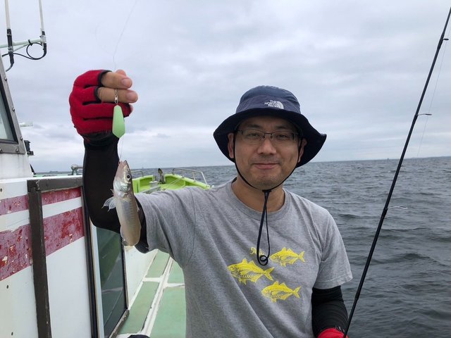 シロギス