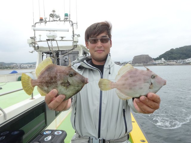 カワハギ
