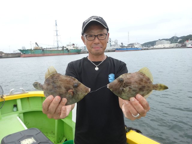カワハギ