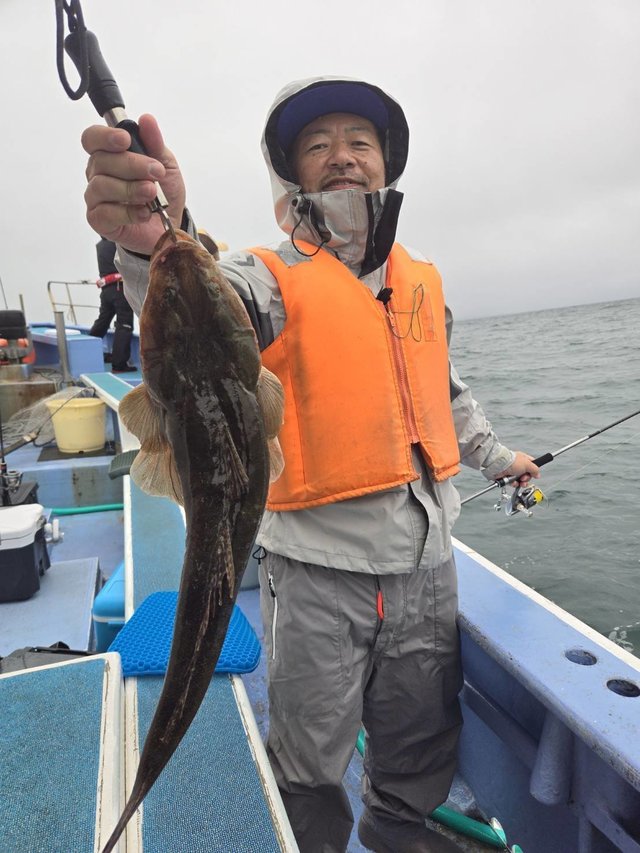 マゴチ