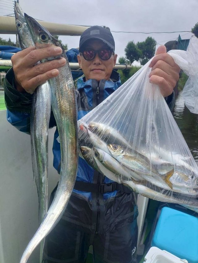 アジ(マアジ)・タチウオ