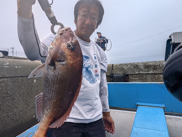 マダイ
