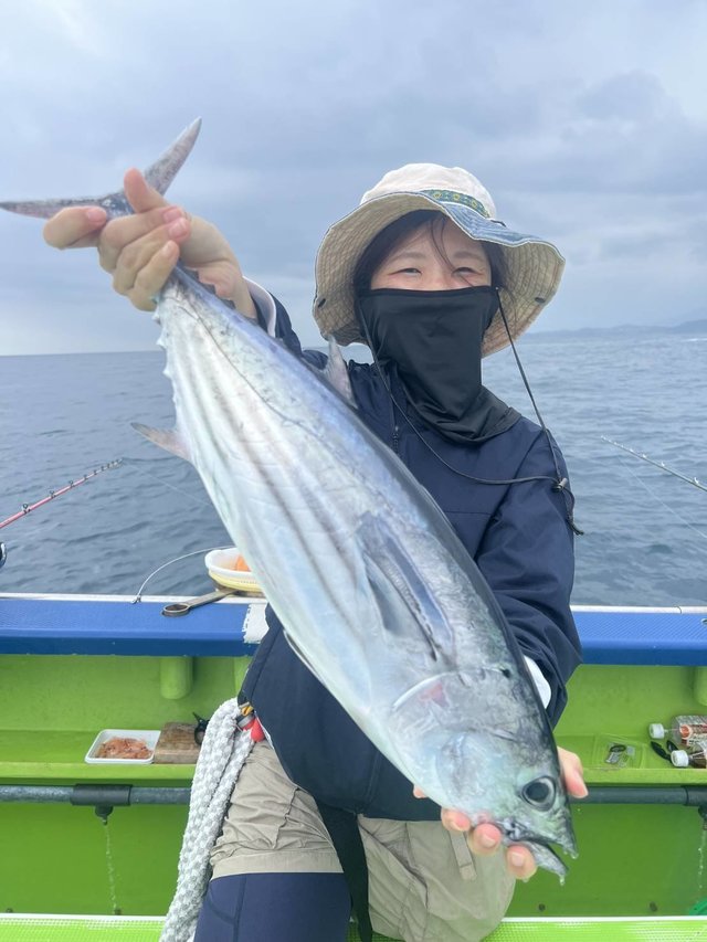 カツオ