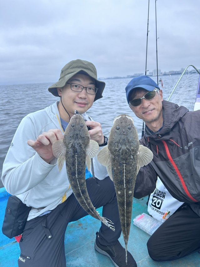 マゴチ