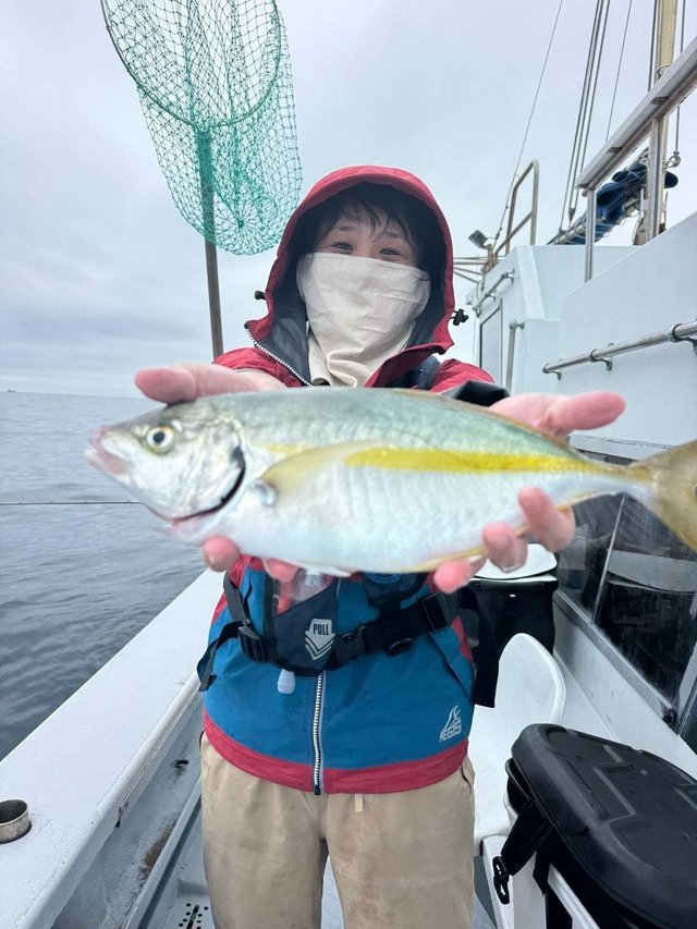 シマアジ