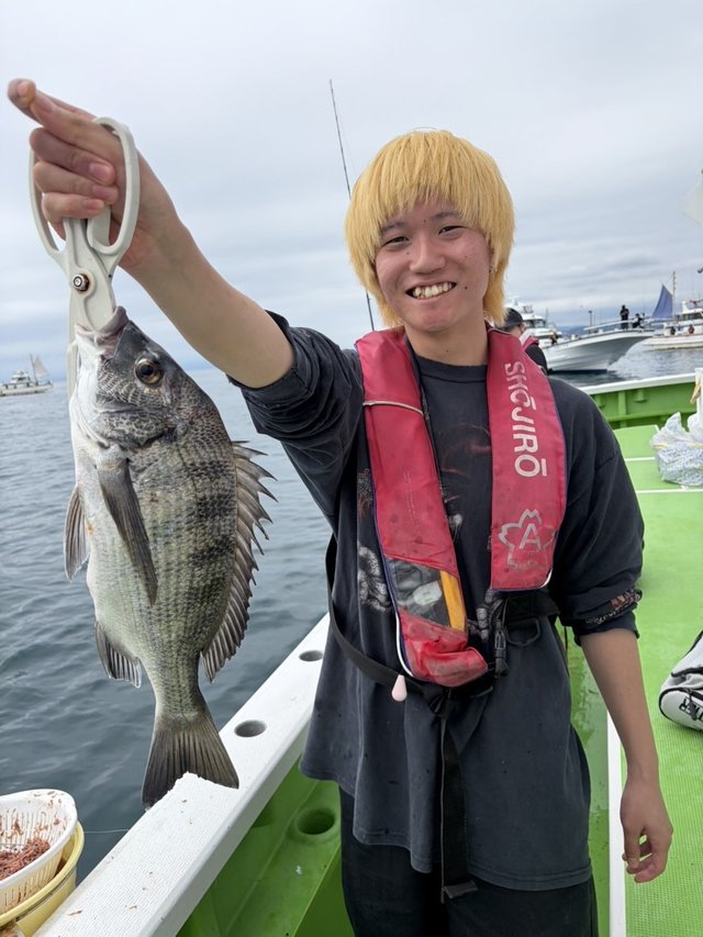 クロダイ