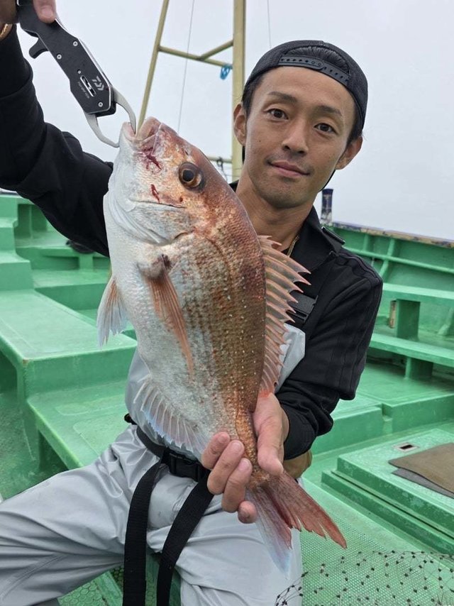 マダイ