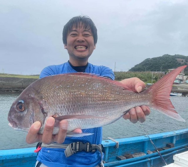 マダイ