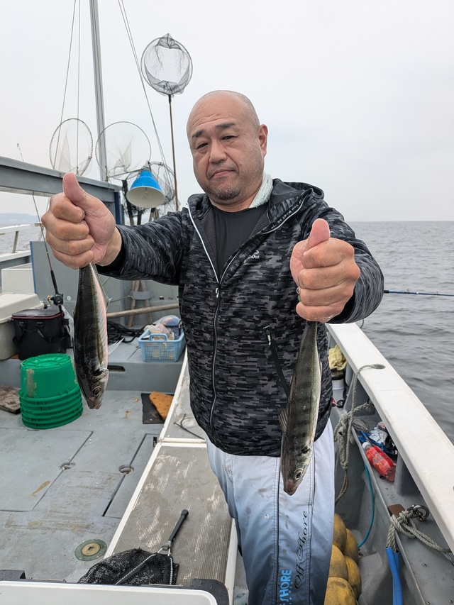 アジ(マアジ)