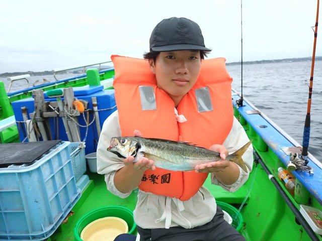 アジ(マアジ)