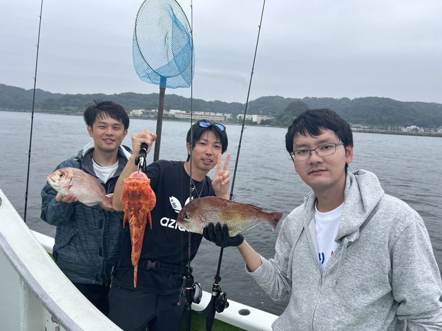 マダイ