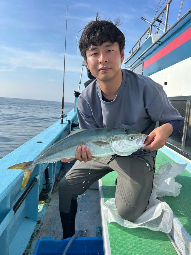 ハマチ(ブリ)