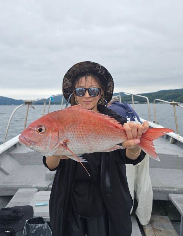 マダイ