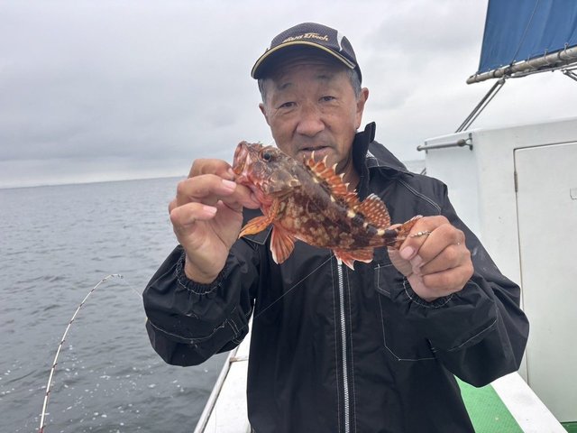 カサゴ