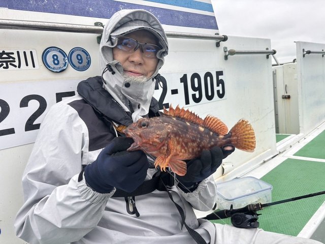 カサゴ