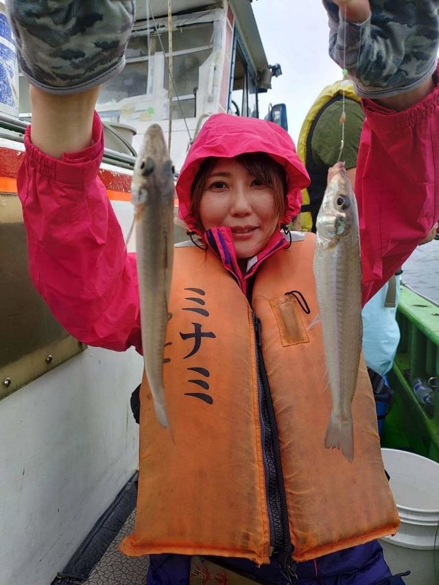 シロギス