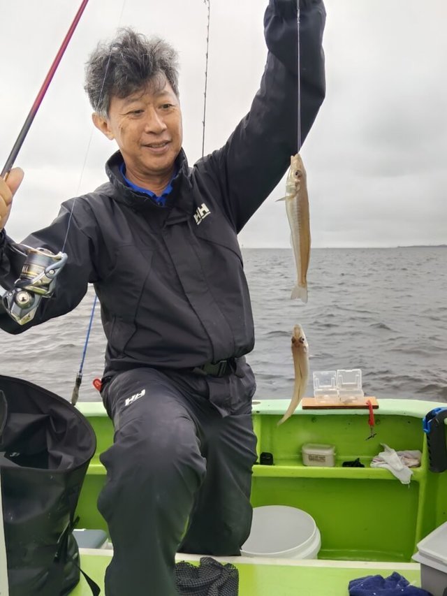 シロギス