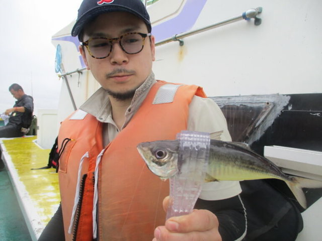 アジ(マアジ)